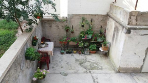 Apartment Elvira